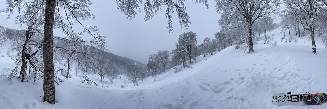 A view from the top of a snow covered tree run in Japan with a Lib Tech Dynamo Base-up in the right hand corner